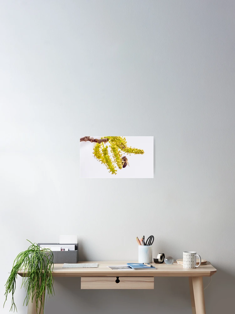 Thumbnail 2 of 3, Poster, Bee Side designed and sold by Ralph Goldsmith.