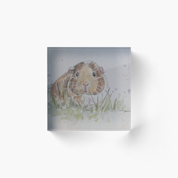 Guinea pig illustration Acrylic Block