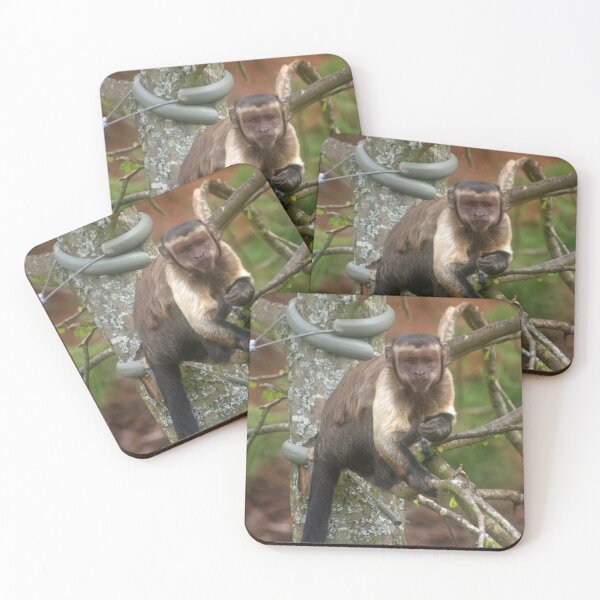 Item preview, Little Mischief designed and sold by RedHillDigital.