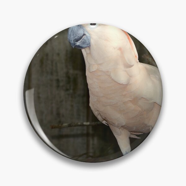 Item preview, Salmon-Crested Cockatoo  designed and sold by MercerImages.