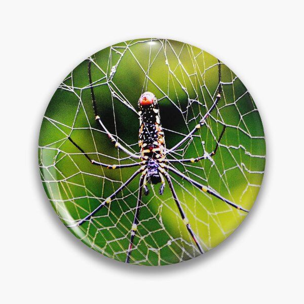 Item preview, Spider insect designed and sold by Rav33822.