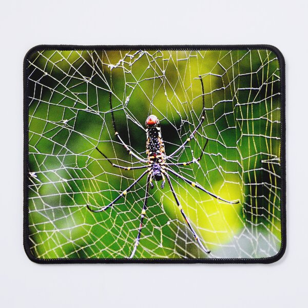 Item preview, Spider insect designed and sold by Rav33822.