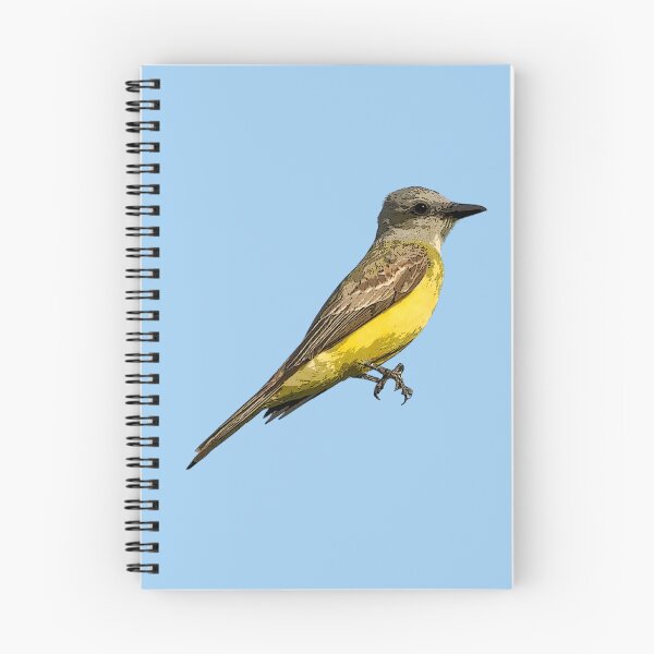 Item preview, Couch's Kingbird Color Design  designed and sold by designsasstultd.