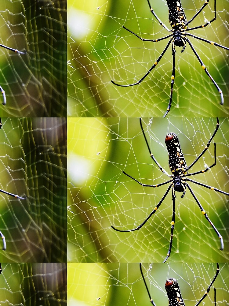 Thumbnail 3 of 3, Scarf, Spider insect designed and sold by Rav33822.