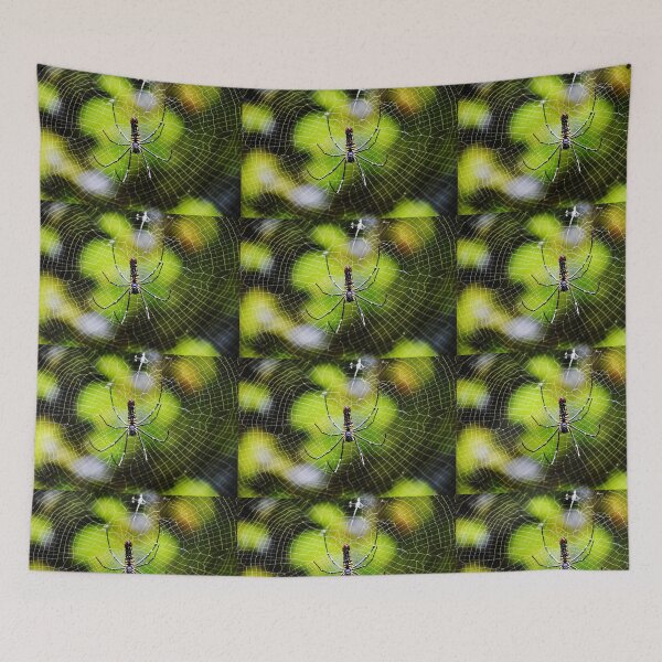 Item preview, Spider insect designed and sold by Rav33822.
