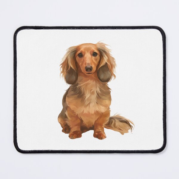 Item preview, Long-Haired Dachshund puppy designed and sold by SMARTKIT DESIGNAGENCY.
