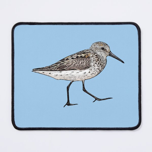 Item preview, Western Sandpiper Black Alternate Design  designed and sold by designsasstultd.