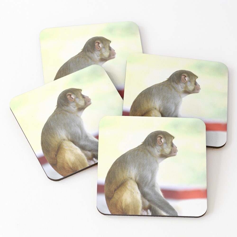 Item preview, Coasters (Set of 4) designed and sold by Rav33822.