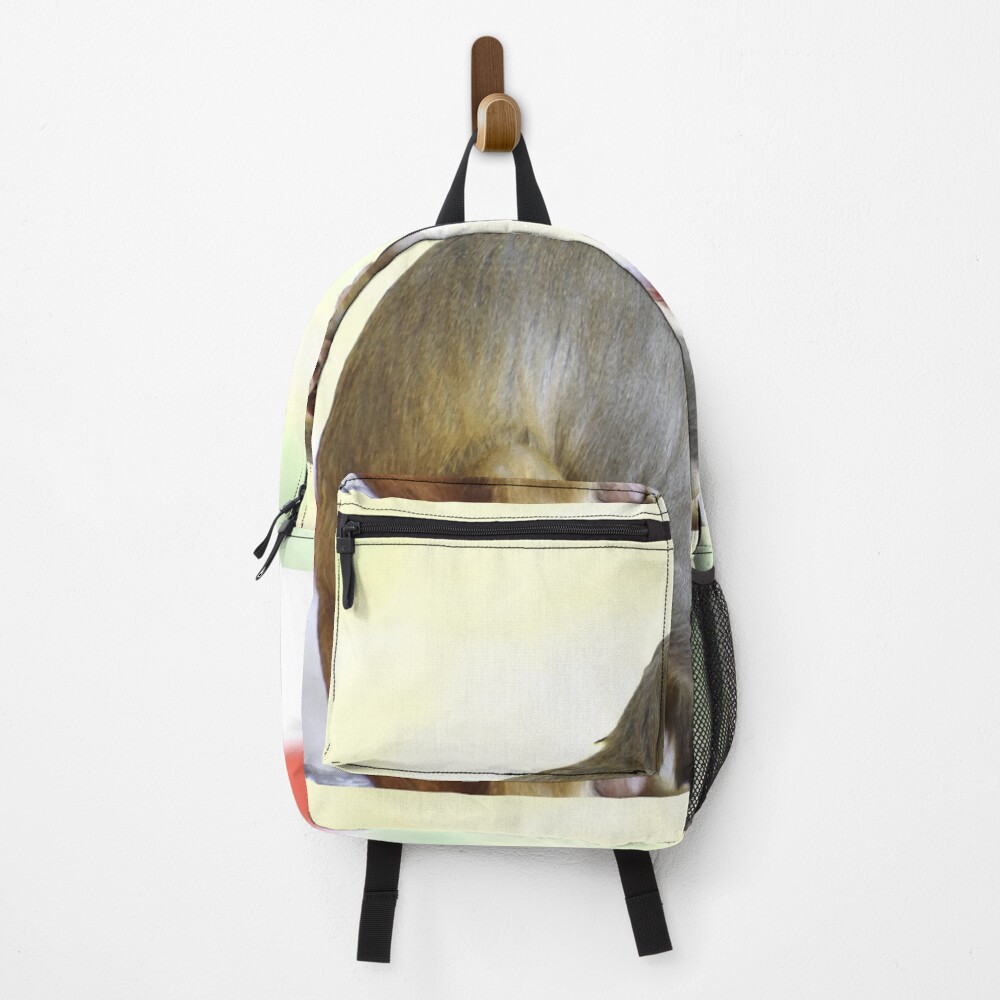 Item preview, Backpack designed and sold by Rav33822.