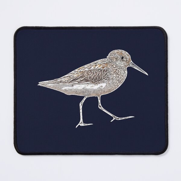 Item preview, Western Sandpiper White Alternate Design  designed and sold by designsasstultd.