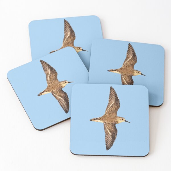 Item preview, Western Sandpiper Flying Color Design  designed and sold by designsasstultd.