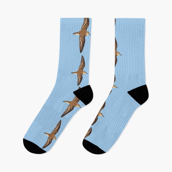 Item preview, Western Sandpiper Flying Color Design  designed and sold by designsasstultd.