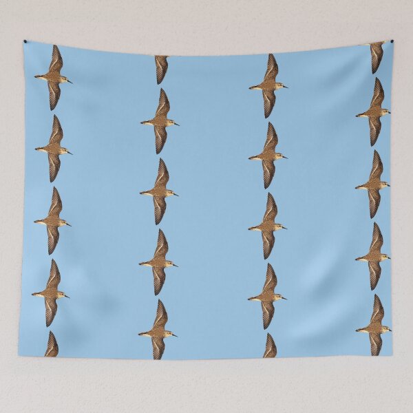 Item preview, Western Sandpiper Flying Color Design  designed and sold by designsasstultd.