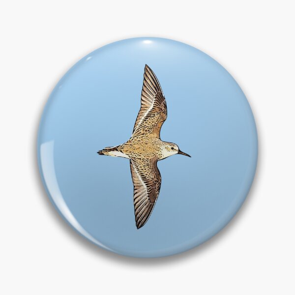 Item preview, Western Sandpiper Flying Black Alternate Design  designed and sold by designsasstultd.