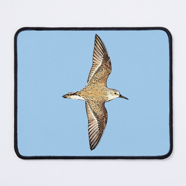 Item preview, Western Sandpiper Flying Black Alternate Design  designed and sold by designsasstultd.