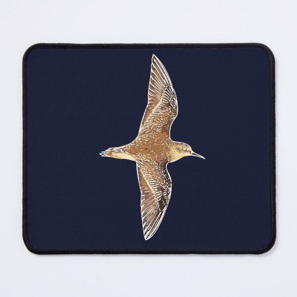 Item preview, Western Sandpiper Flying White Alternate Design designed and sold by designsasstultd.
