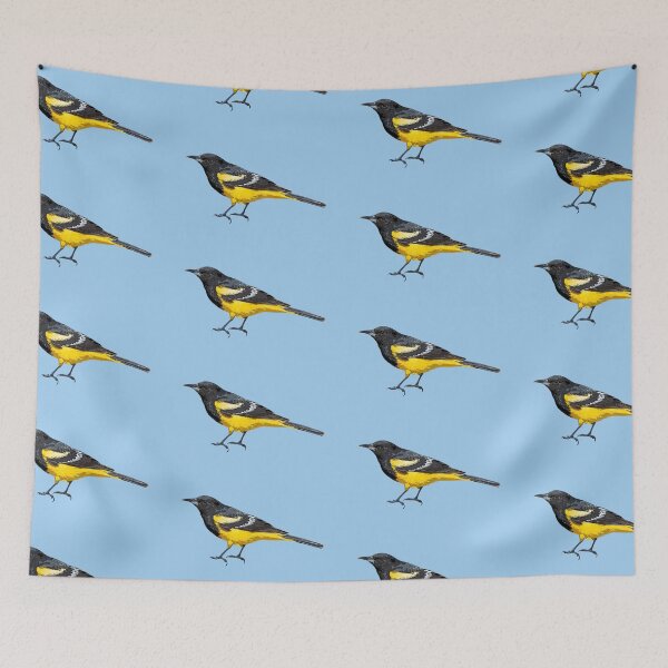 Artikelvorschau, Scotts Oriole-Farbdesign entworfen und verkauft von designsasstultd.