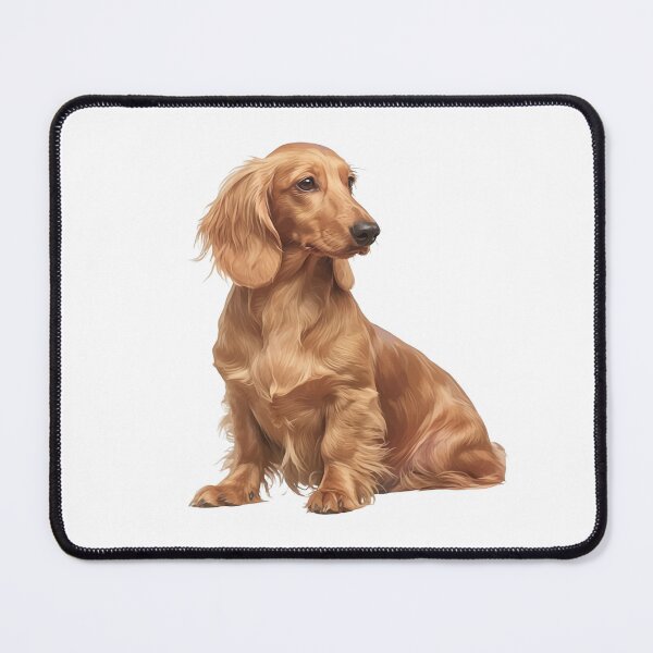 Item preview, Long-Haired Dachshund puppy designed and sold by SMARTKIT  DESIGNAGENCY.