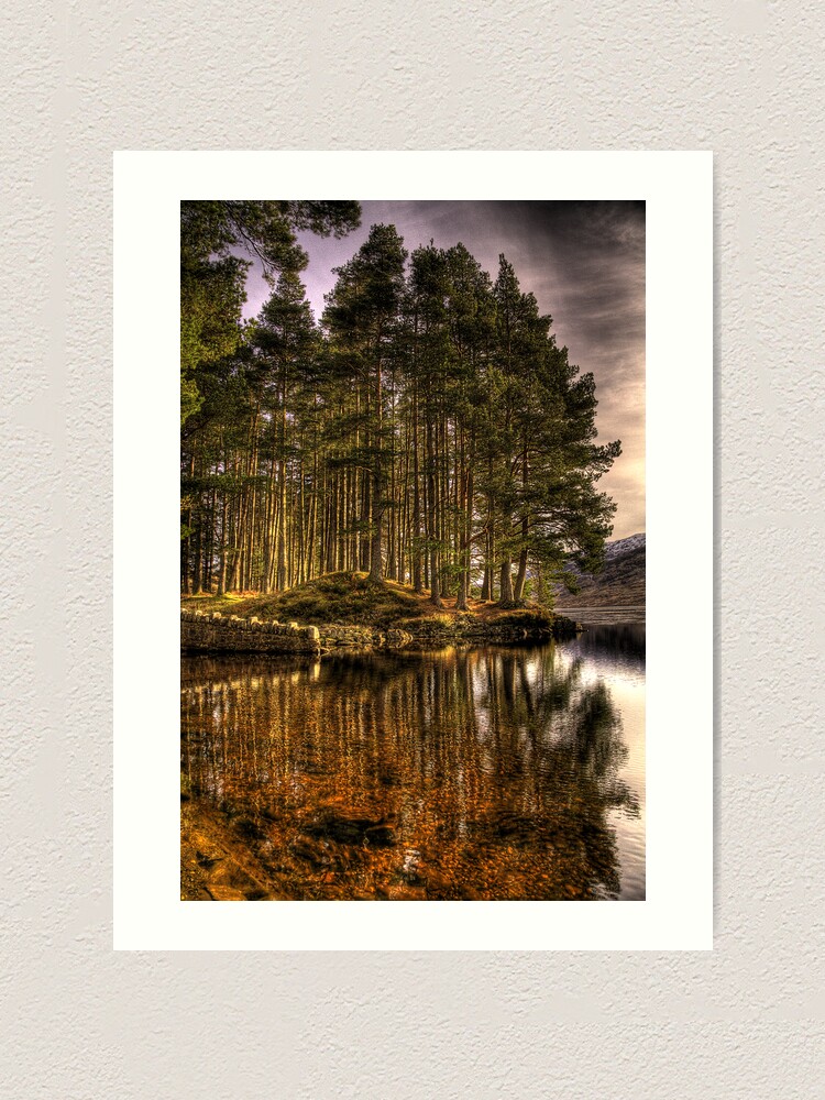 Alternate view of The Pincushion Art Print