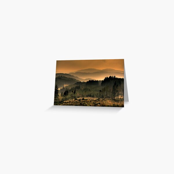 Shades (3) Greeting Card