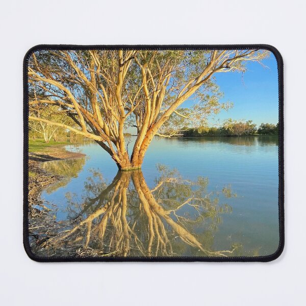 Item preview, Longreach designed and sold by Richard Murias.