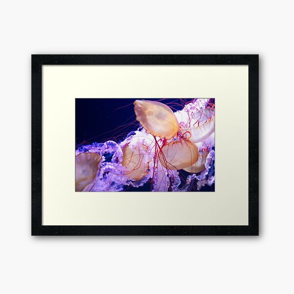 Item preview, Sea Nettle Jellyfish designed and sold by justchui.