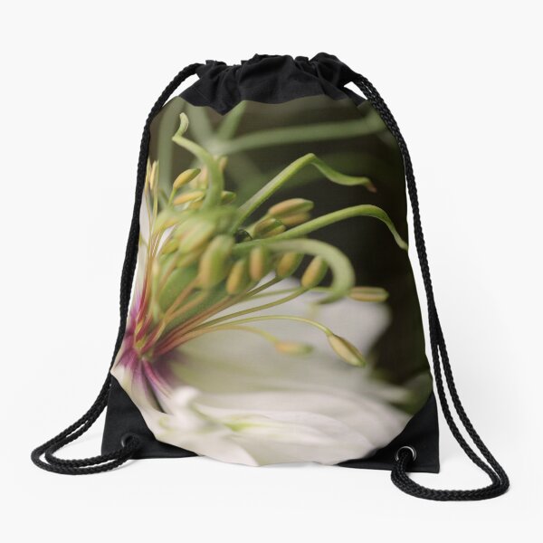 Item preview, The Heart of a "Love in a Mist" designed and sold by Tracy Friesen.