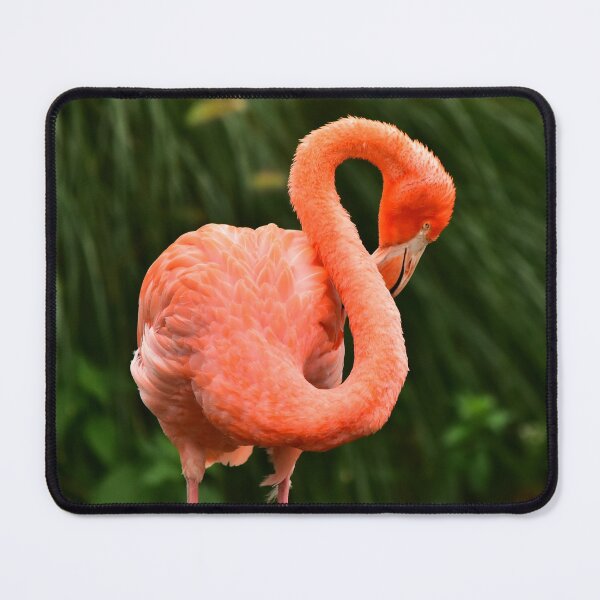 Item preview, Red Flamingo designed and sold by Irene168.