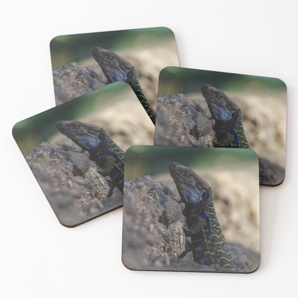 Item preview, lizard on Tenerife designed and sold by photosByFlorian.