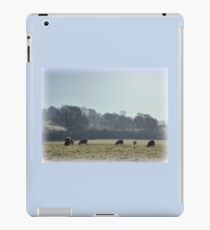 Frosty Morning in Worcester iPad Case/Skin