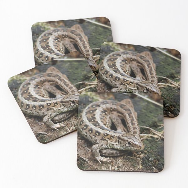 Item preview, A cute sand lizard designed and sold by photosByFlorian.
