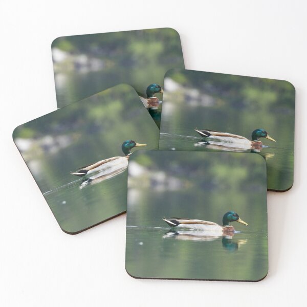 Item preview, Male mallard in the lake with reflection in the water designed and sold by photosByFlorian.