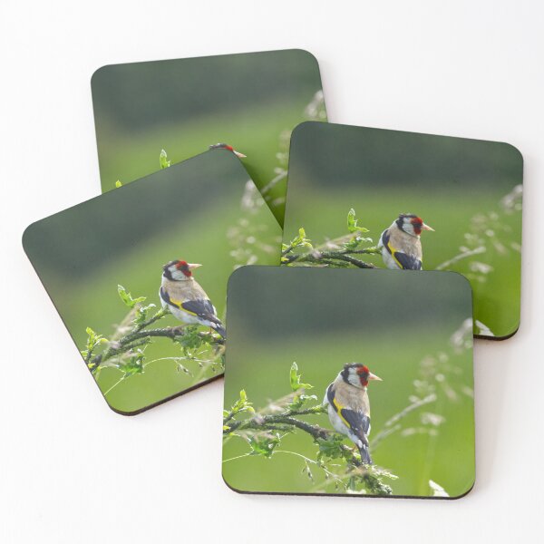 Item preview, Goldfinch sits in the grass and listens to the wind. designed and sold by photosByFlorian.