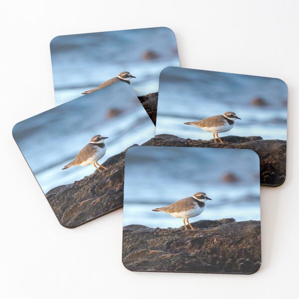 Item preview, Ringed plover in the morning light on the beach. designed and sold by photosByFlorian.