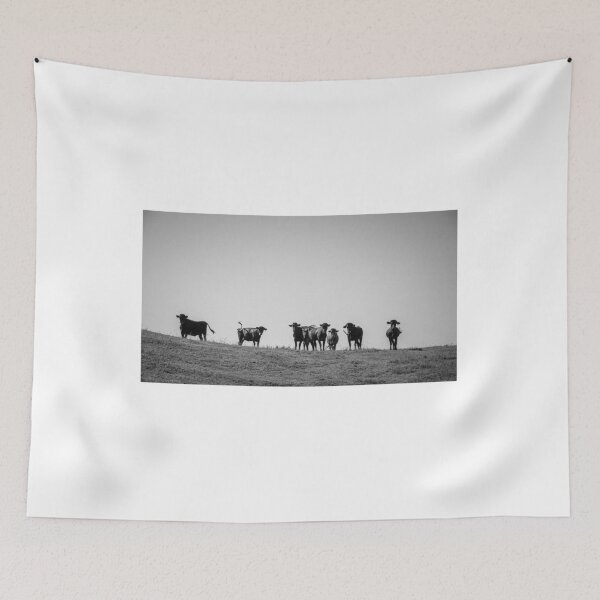 Item preview, Black and white cows designed and sold by KAY Artists.