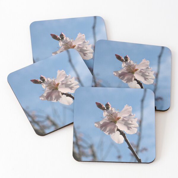Item preview, Almond tree flowers  designed and sold by McFleur's Lens.