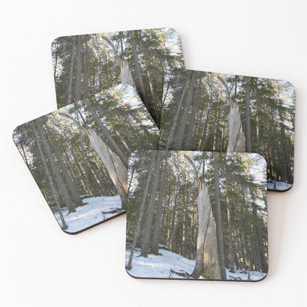 Item preview, The Stump 2. Seitseminen Multiharju designed and sold by Jouko Lehto Photography.