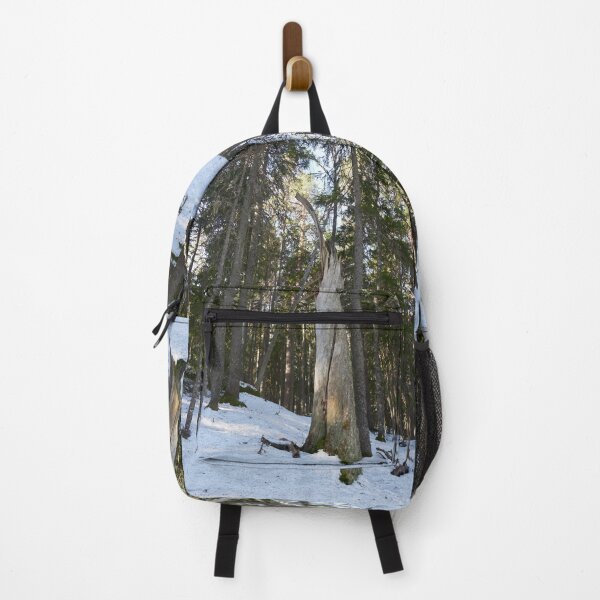 Item preview, The Stump 2. Seitseminen Multiharju designed and sold by Jouko Lehto Photography.