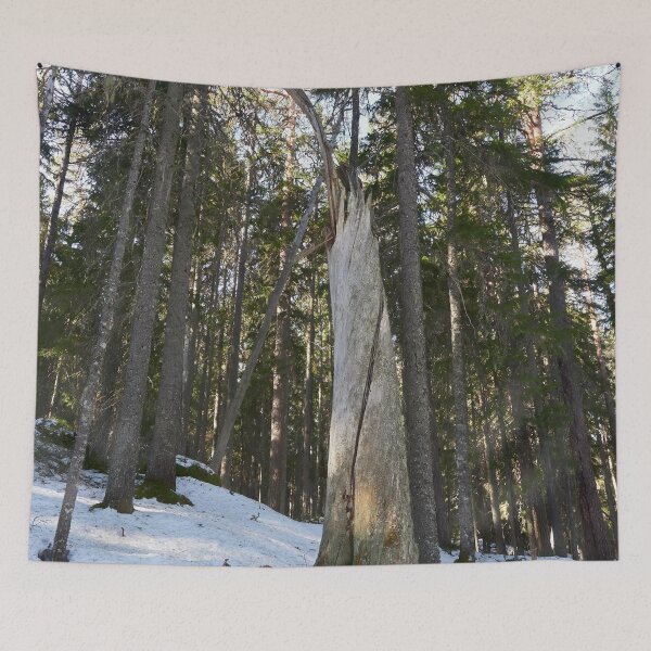 Item preview, The Stump 2. Seitseminen Multiharju designed and sold by Jouko Lehto Photography.