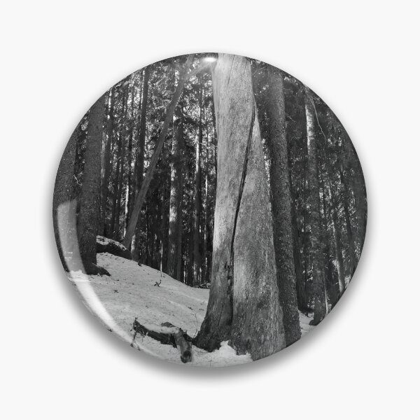 Item preview, The Stump 2. Seitseminen Multiharju bw bw designed and sold by Jouko Lehto Photography.