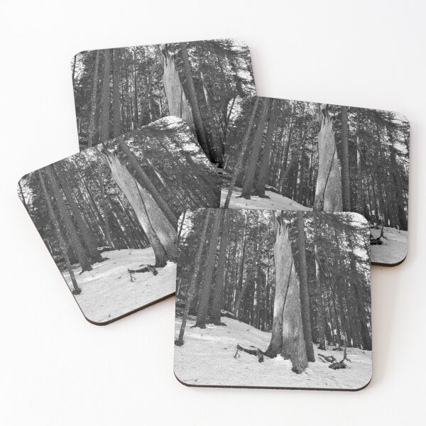 Item preview, The Stump 2. Seitseminen Multiharju bw bw designed and sold by Jouko Lehto Photography.