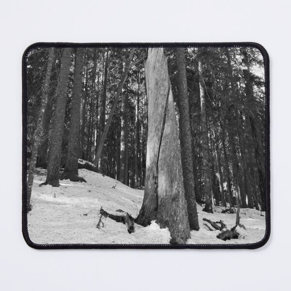 Item preview, The Stump 2. Seitseminen Multiharju bw bw designed and sold by Jouko Lehto Photography.