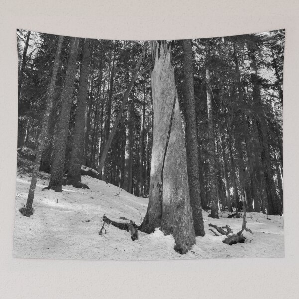 Item preview, The Stump 2. Seitseminen Multiharju bw bw designed and sold by Jouko Lehto Photography.