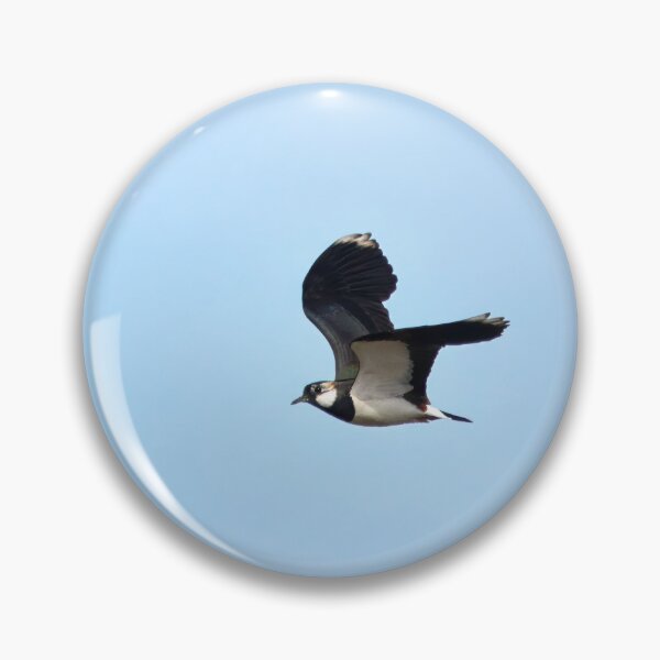 Item preview, Peewit. Northern lapwing designed and sold by Jouko Lehto Photography.