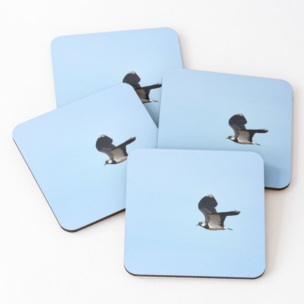 Item preview, Peewit. Northern lapwing designed and sold by Jouko Lehto Photography.