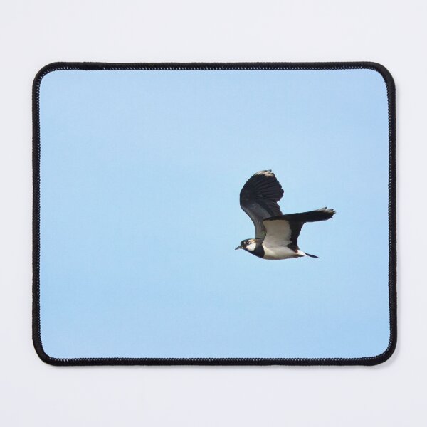 Item preview, Peewit. Northern lapwing designed and sold by Jouko Lehto Photography.