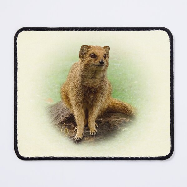 Item preview, Yellow Mongoose designed and sold by Guardi71.