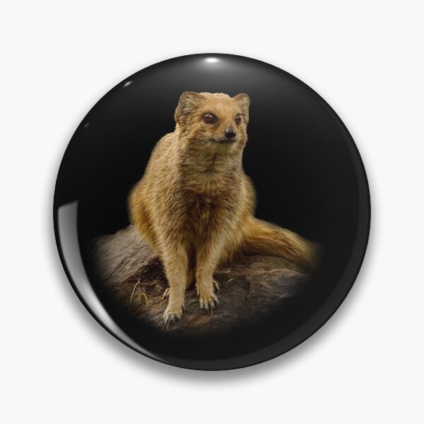 Item preview, Yellow Mongoose designed and sold by Guardi71.
