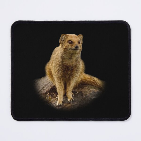 Item preview, Yellow Mongoose designed and sold by Guardi71.