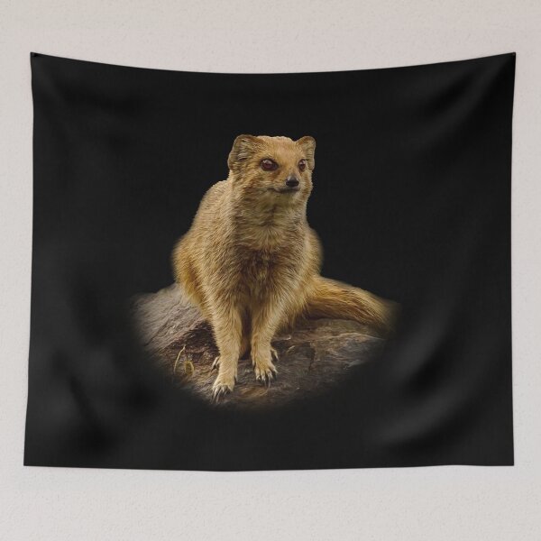 Item preview, Yellow Mongoose designed and sold by Guardi71.
